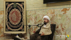 رضا امیری سیرجانی