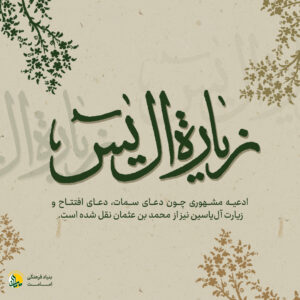 محمد بن عثمان عمری - امامت